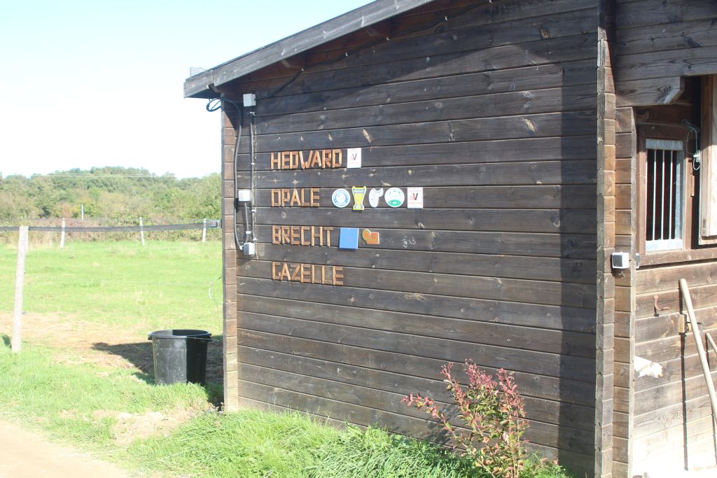 Le mur des trophées
